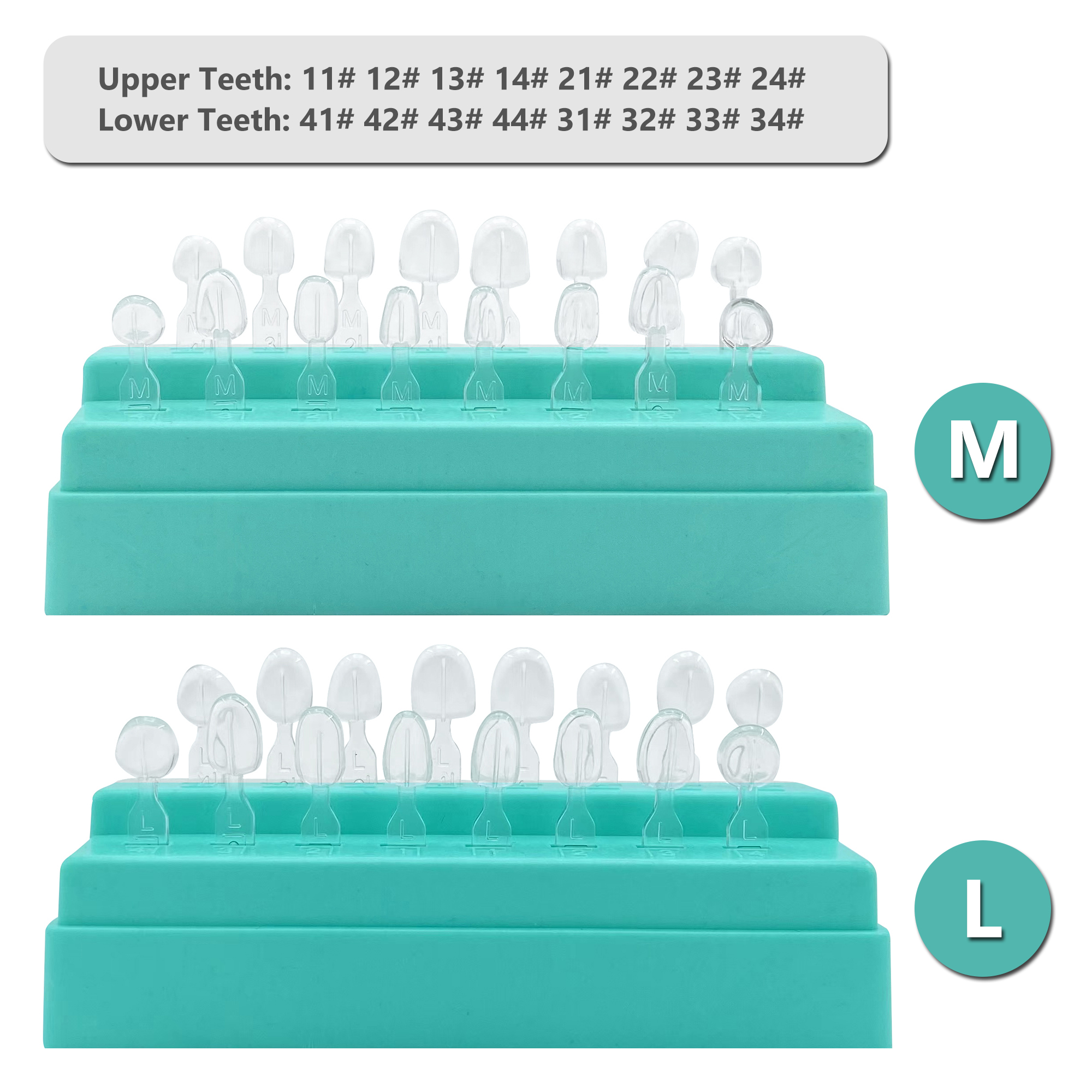 32Pcs New Dental Veneer Mould  - Teeth Whitening Moulds recensie en prijs
