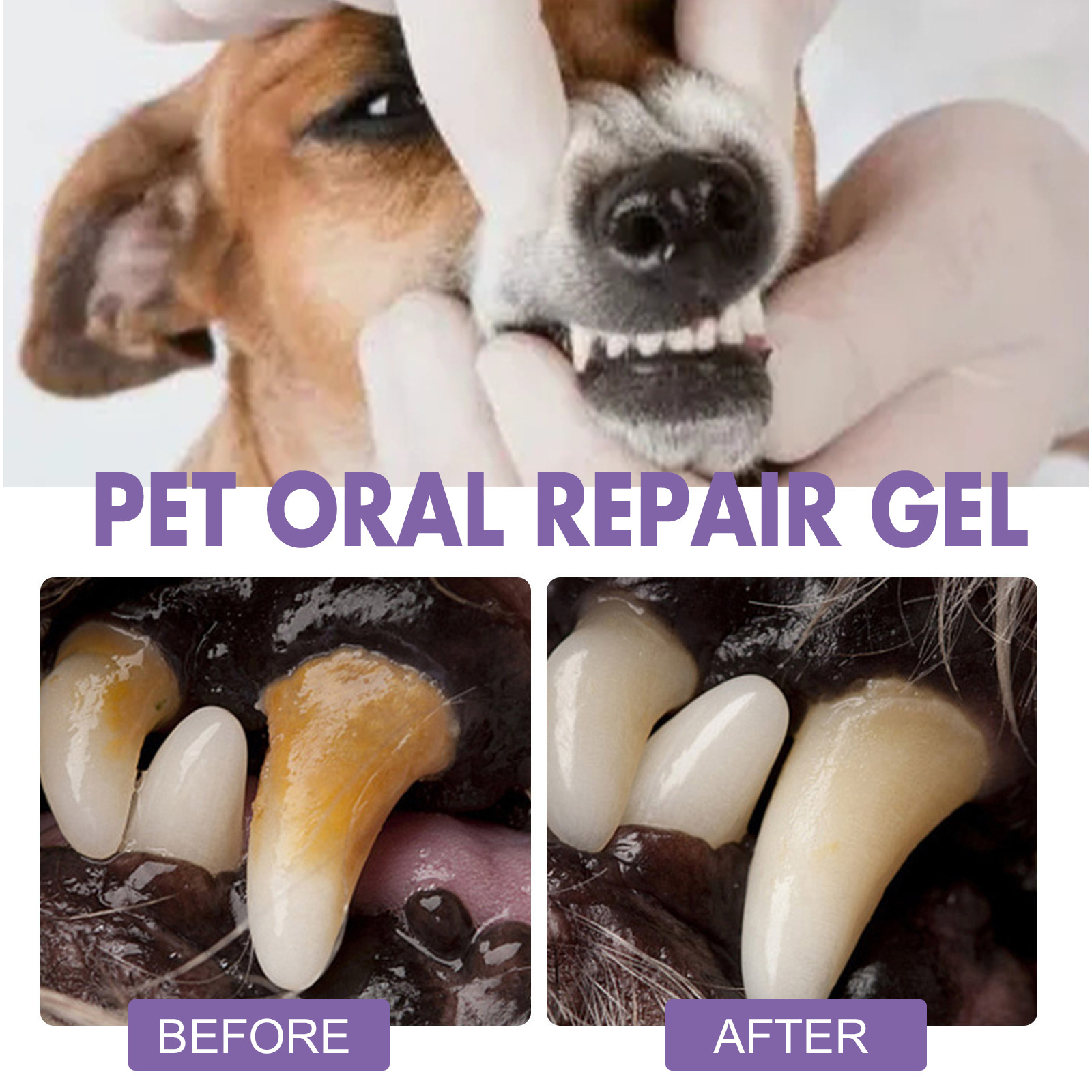 Pet Oral Repair Gel Puppy Tart - Teeth Whitening Ai recensie en prijs