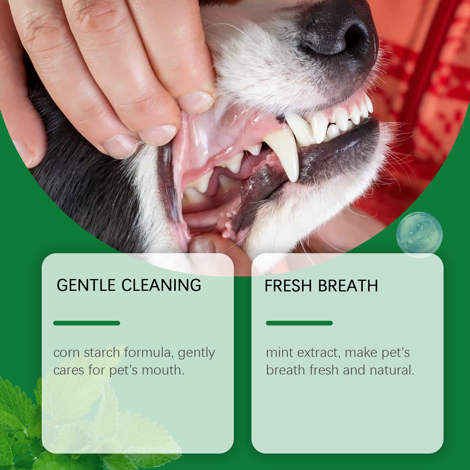 Pet Teeth Cleaning Powder Redu - Teeth Whitening Ai recensie en prijs