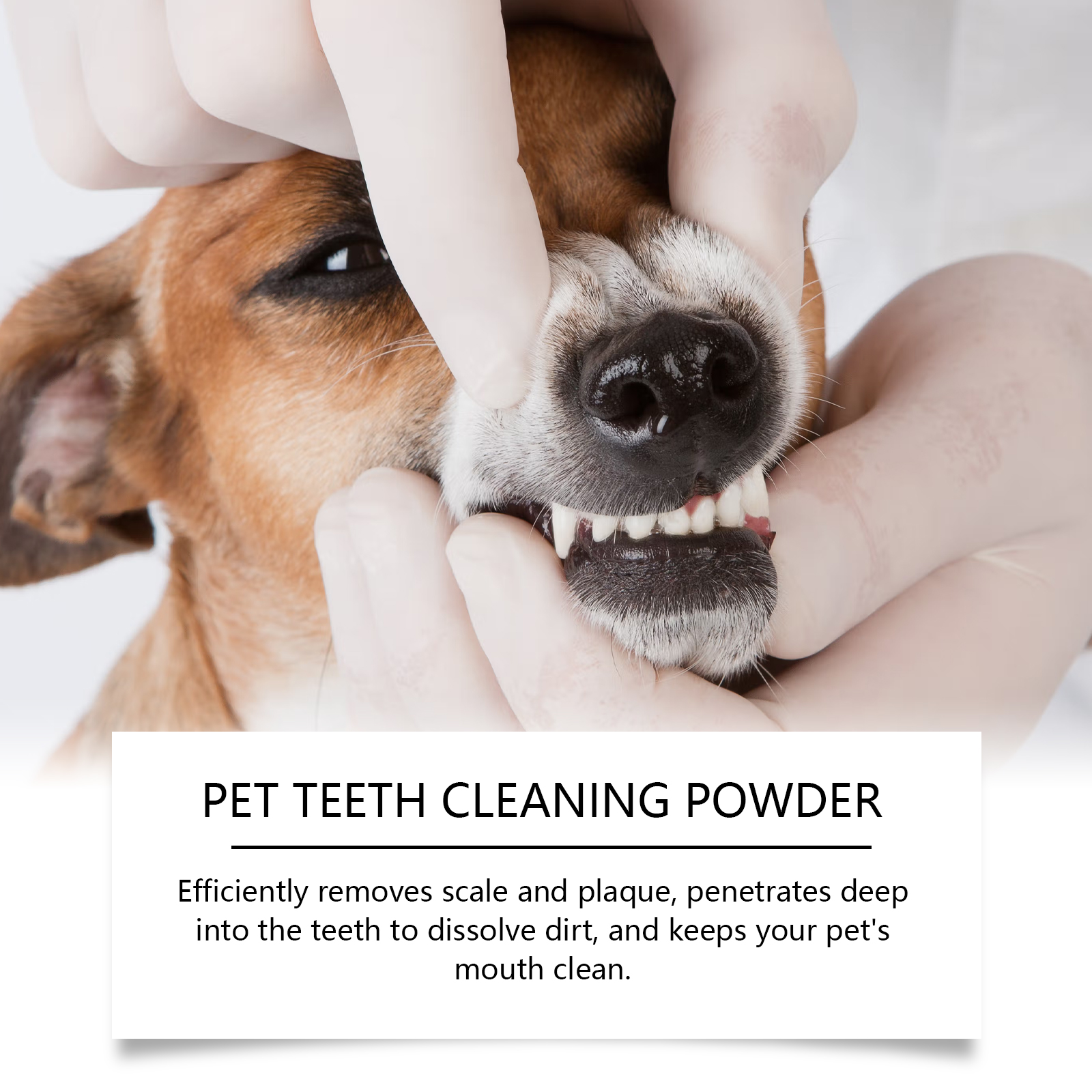 Pet Teeth Cleaning Powder Redu - Teeth Whitening Ai recensie en prijs