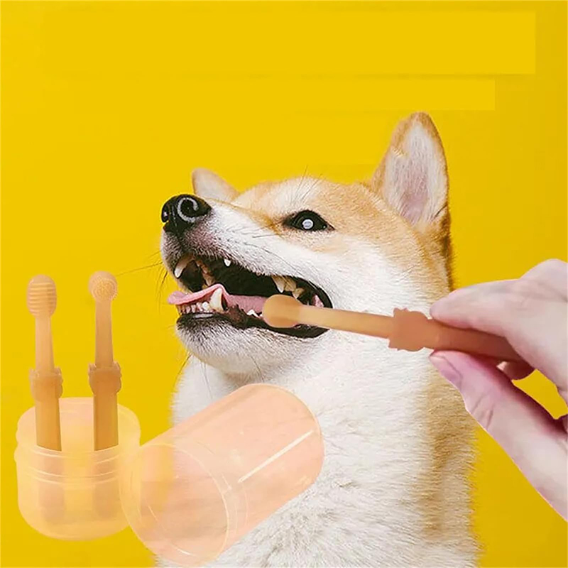 Teeth Whitening Dog Cat Silico - Teeth Whitening Session recensie en prijs
