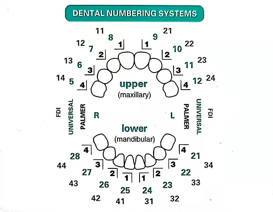 32pcs/Set Dental Veneer Mould  - Teeth Whitening Moulds recensie en prijs